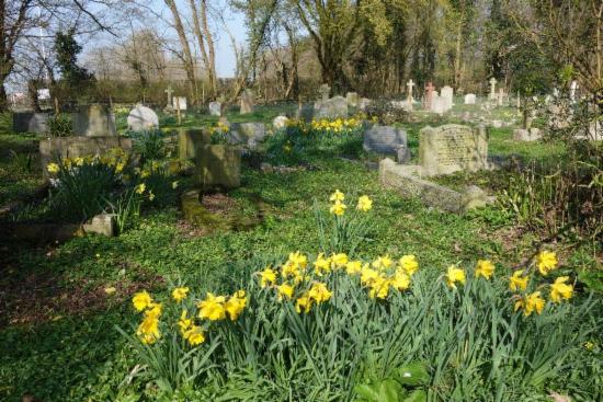 _wsb_550x366_burial+ground+1